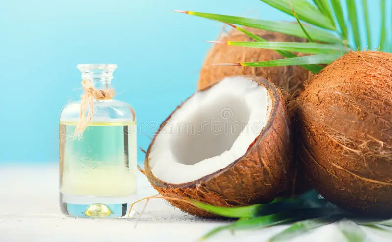 coconut-palm-oil-bottle-coconuts-green-palm-tree-leaf-blue-background-coco-nut-closeup-healthy-food-skincare-153860303