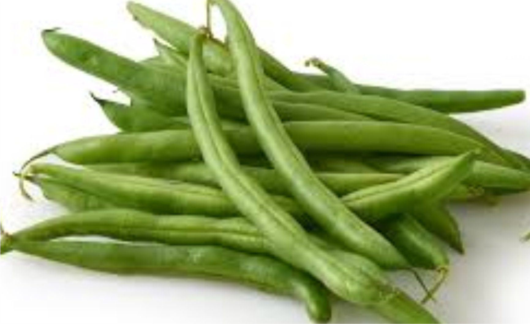 hea fresh beans